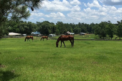 Over the Moon Farm, Relaxing with the Horses