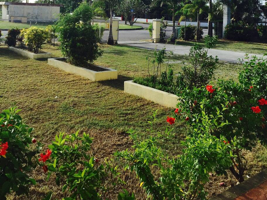 花园