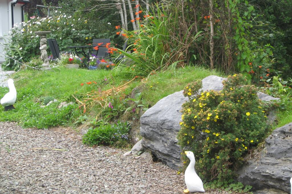 Along the river bank