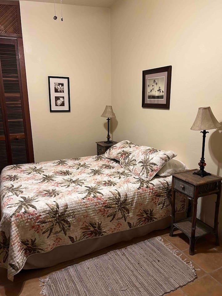 Chumba cha kulala cha malkia. Kitanda cha ukubwa wa malkia, kabati kubwa, kabati la kujipambia. 