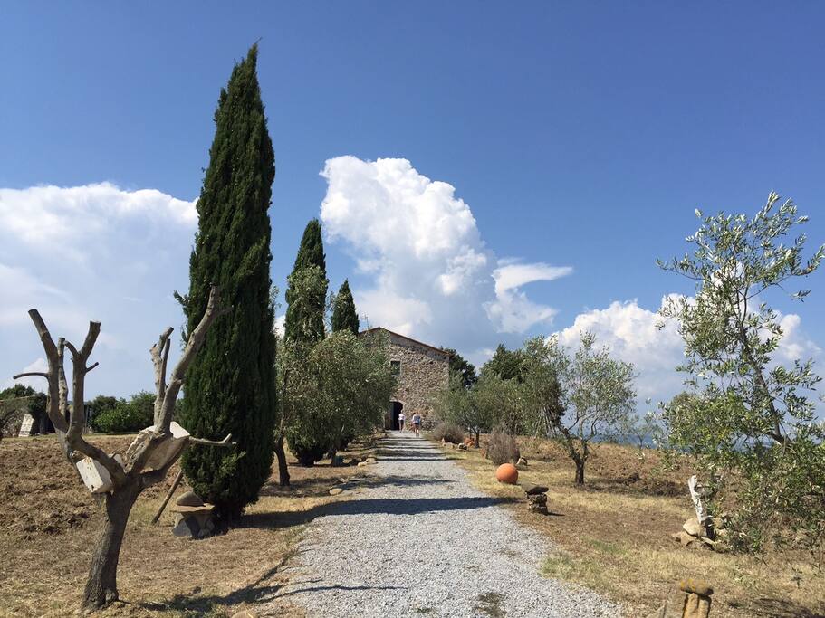 casale