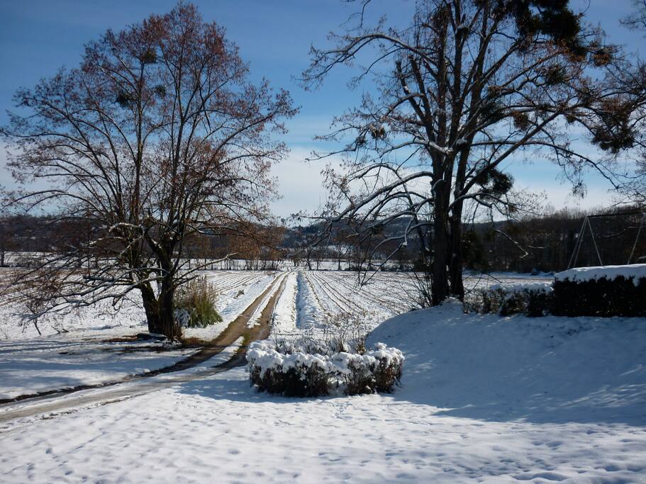 Hiver