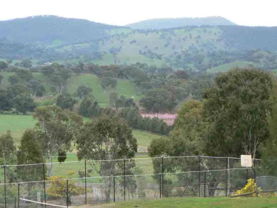 View of the valley and hills from our tennis court.