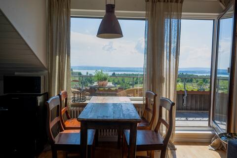 Apartment wine in the nest on Wohrenberg
