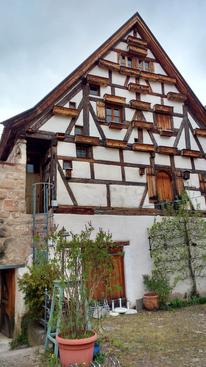 Rothsee Vacation Rentals & Homes - Roth, Germany | Airbnb