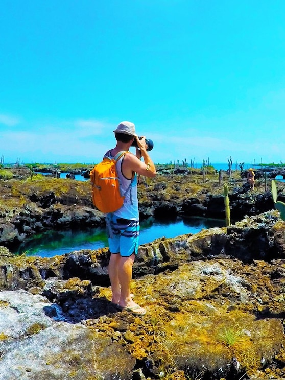 Show full-screen, host-provided image