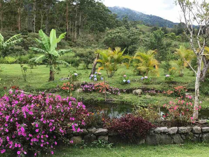 Volcán Holiday Rentals & Homes Chiriquí Province, Panama Airbnb