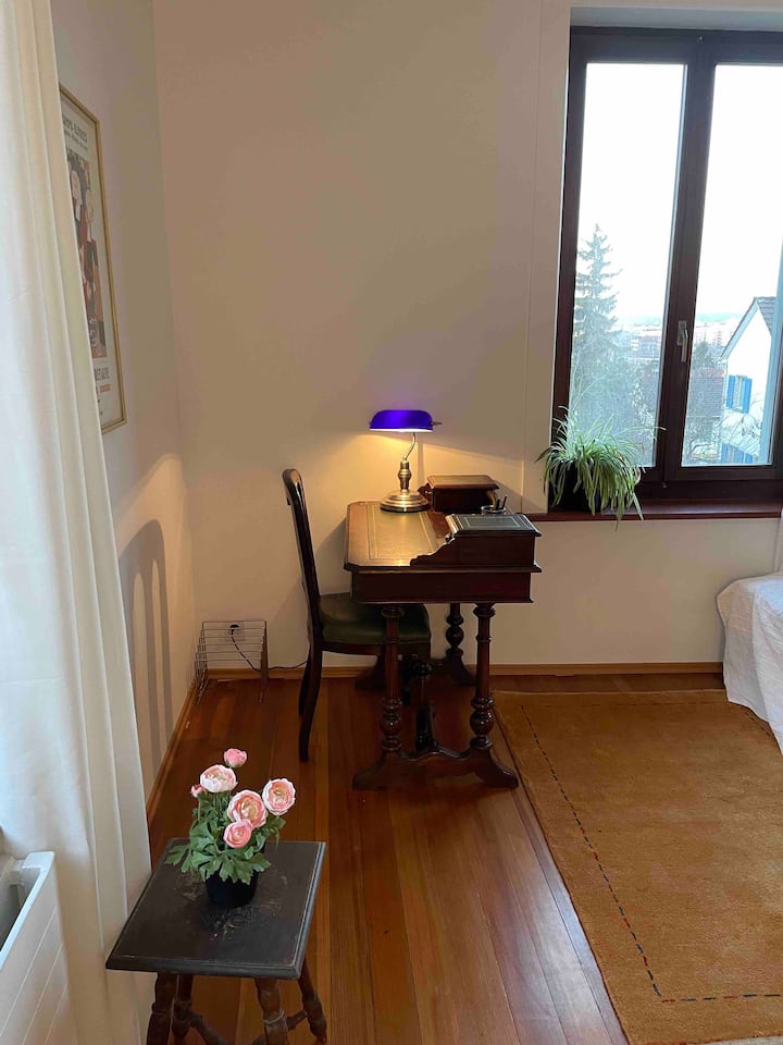 My Home In The City - Zürich