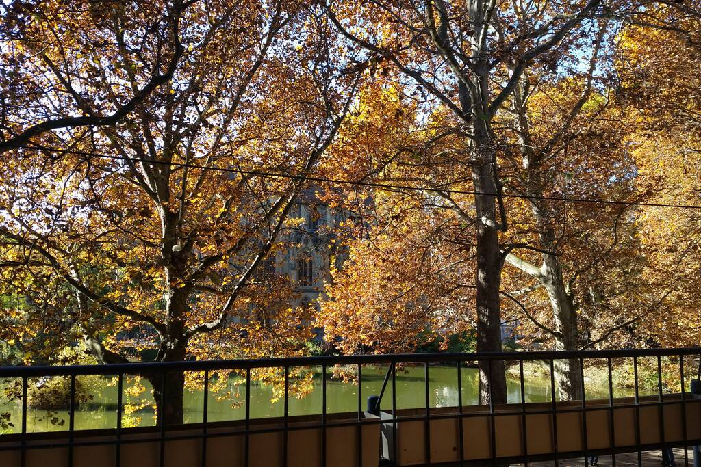 Blick vom Balkon