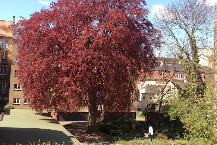 Skøn herskabslejlighed tæt på alt