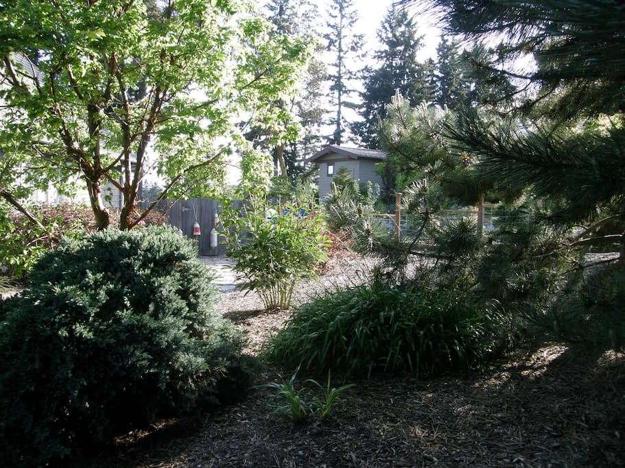 The Side-yard