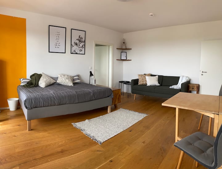 Me2 Fully Serviced 1 Bdr Business Housing Near Fra - Langen