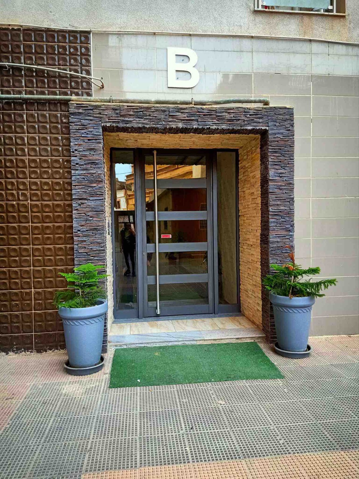 The entrance to the building is marked by a modern door with glass panels framed in stone. Flanking the entrance are two potted plants positioned on either side, with a small patch of artificial grass welcoming guests.