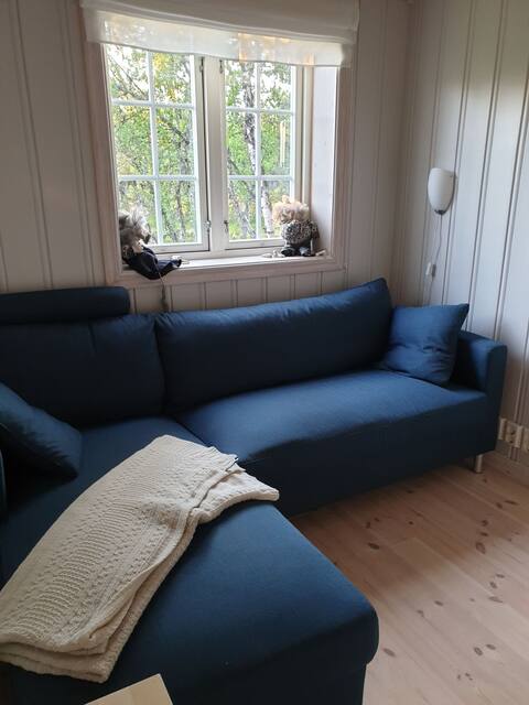 Popular Airbnb listing: Convenient family cabin at Venabygdsfjellet in Ringebu