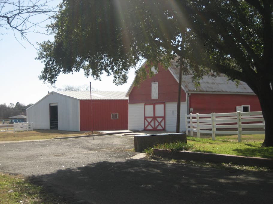 Barns for large animal stay if needed. $25.00 per head.