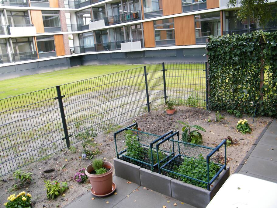 Backgarden