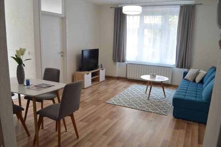 Joyful City Center Apartment (Garage included)