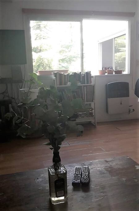 Mucha luz gracias a la ventana doble del living.