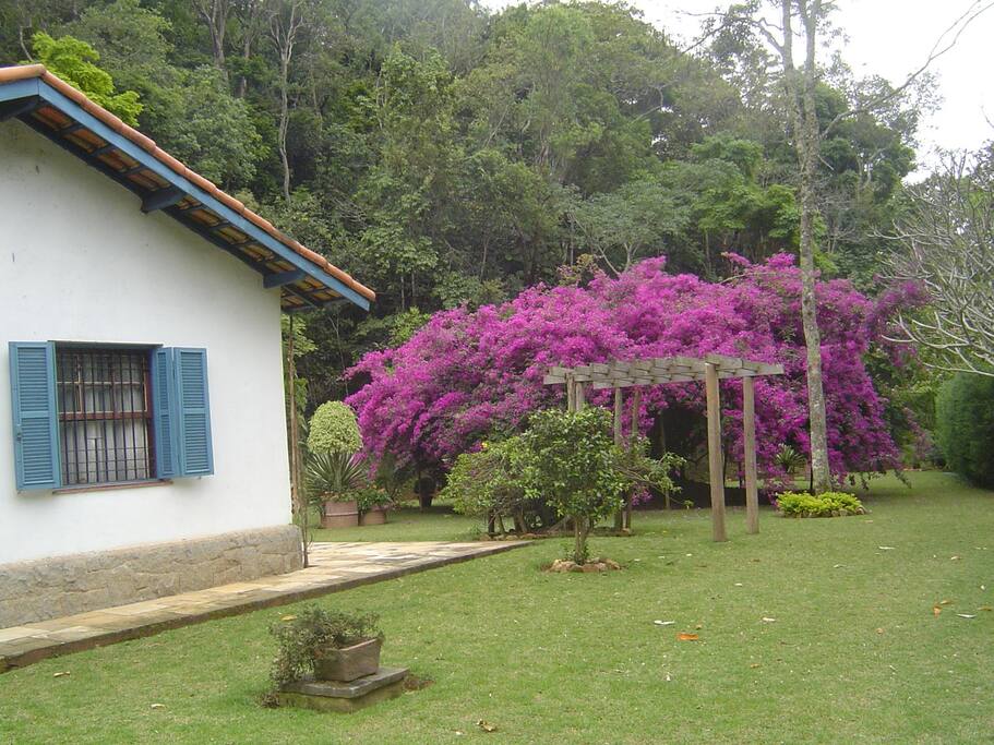 vista lateral da casa