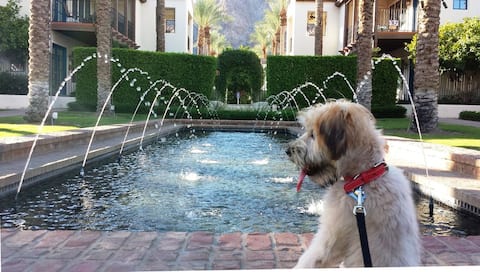 Popular Airbnb listing: Prime Luxury Villa - Upstairs, Patios, A+ Location in Coachella Valley & Desert