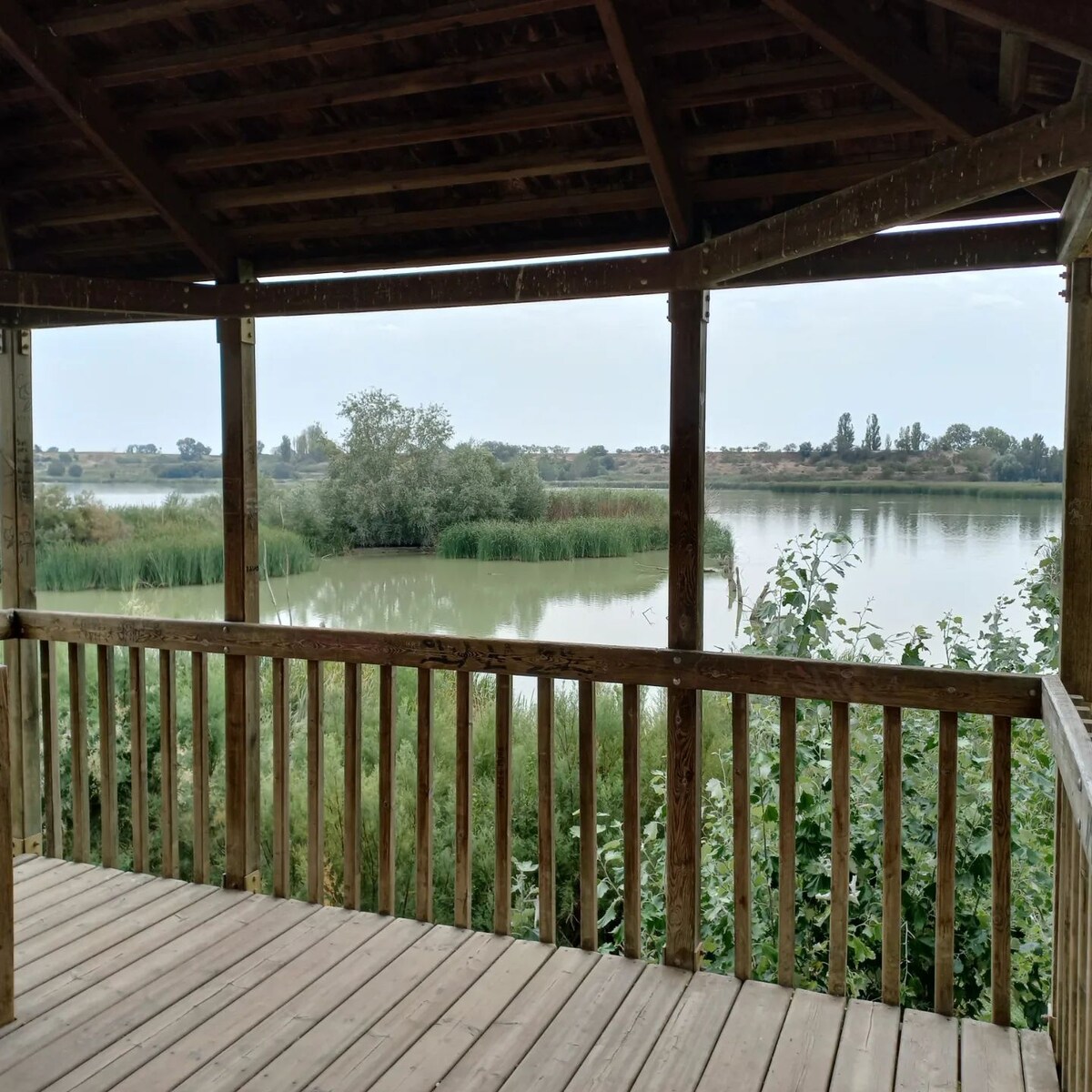 A wooden deck with a rustic railing offers views of a serene body of water surrounded by greenery. The landscape features lush bushes and trees on the shore, creating a peaceful natural setting.