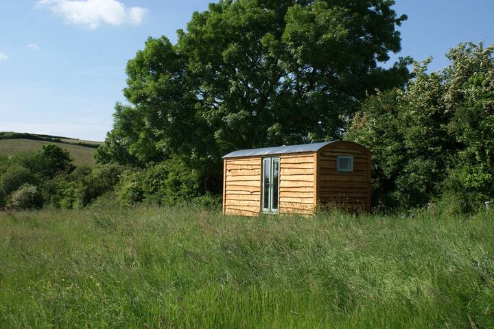 Tree Farm Shepherds Hut, near Perranporth