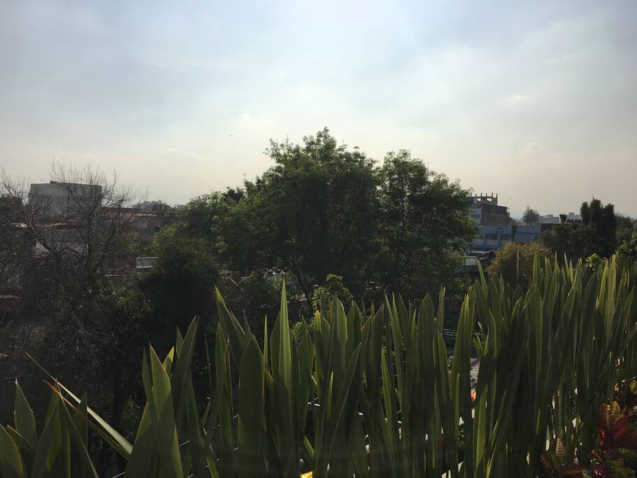 Vista / View