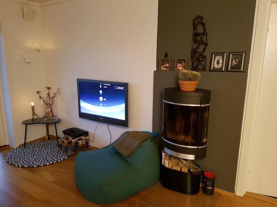 TV with Netflix etc.