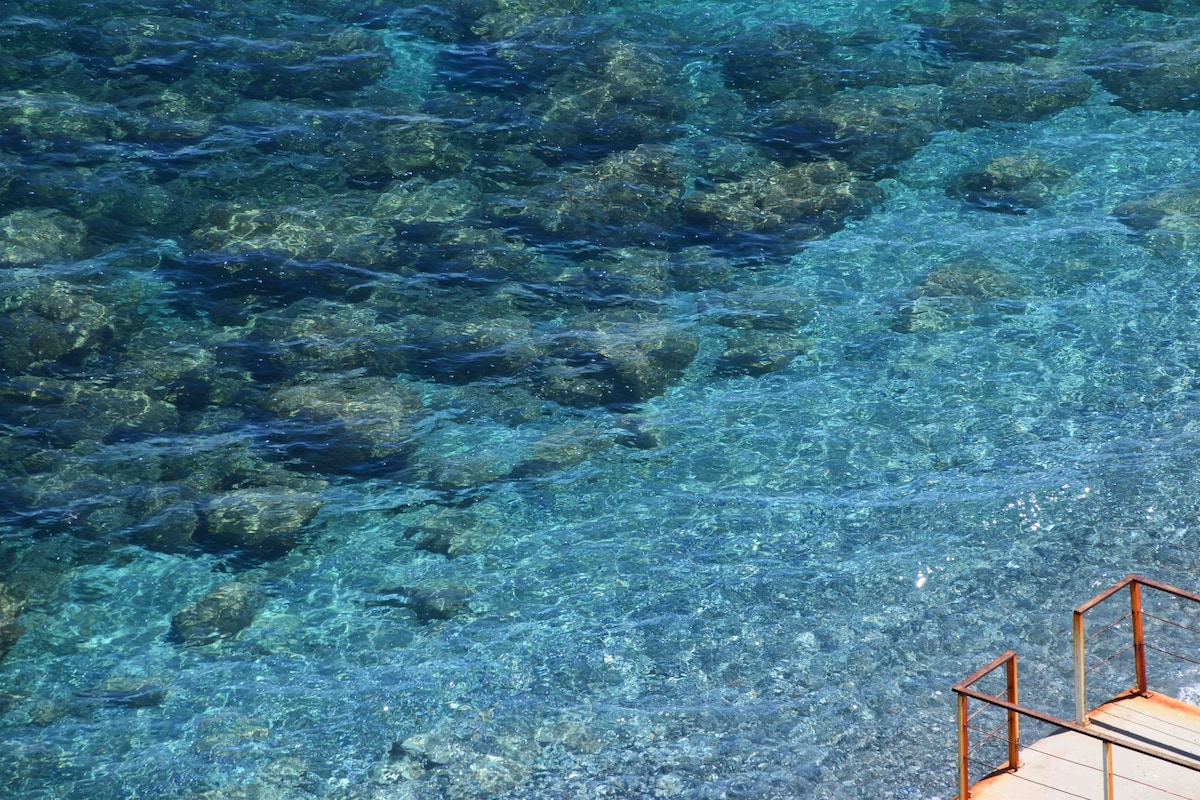 Clear, tranquil waters reveal a mosaic of rocky seabed along the shore. The sunlight reflects off the surface, enhancing the shades of blue and green in the water, creating a serene coastal atmosphere.