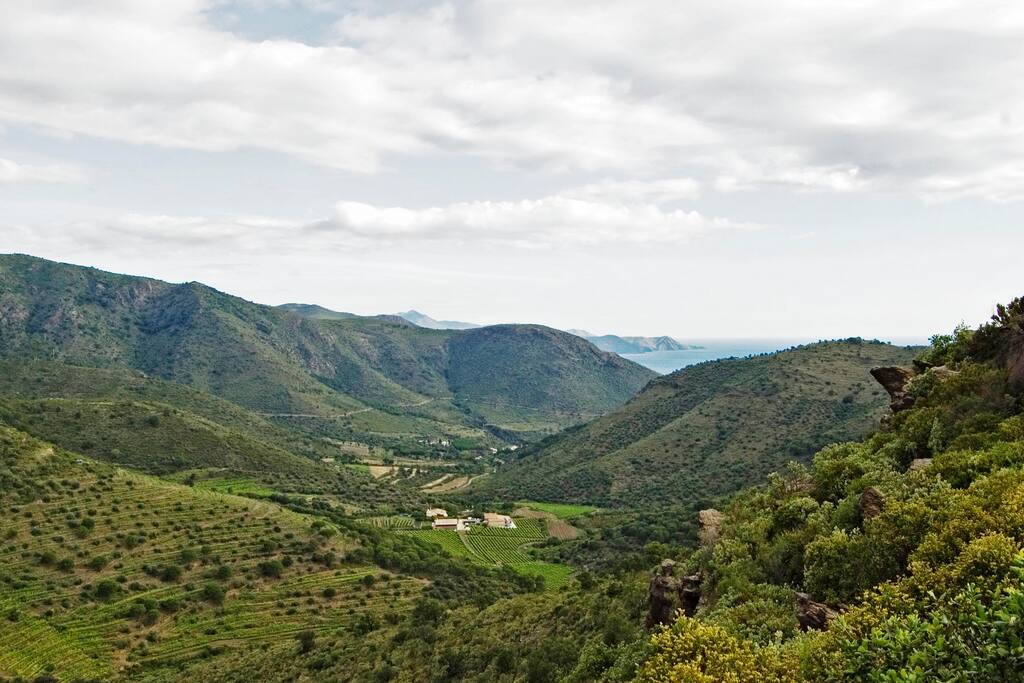 La observación atenta de la viña, el trabajo de acuerdo con el ritmo lunar y planetario, la exclusión de herbicidas, pesticidas, fungicidas, insecticidas y abonos de síntesis hacen posible la expresión del "Terroir" a través de una tierra viva. Esta es nuestra filosofía, voluntad y forma de trabajar.
Situado en el extremo norteoriental de Cataluña, Alt Empordà (Girona), el Mas Estela, dentro del Parque Natural del Cap de Creus, está adosado a la sierra de Rodes, en el valle de Sant Romà, a 3 km del mar mediterráneo (golfo de León).
-----------------