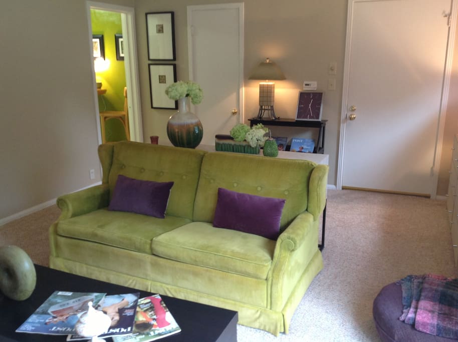Living room - pull out sofa bed