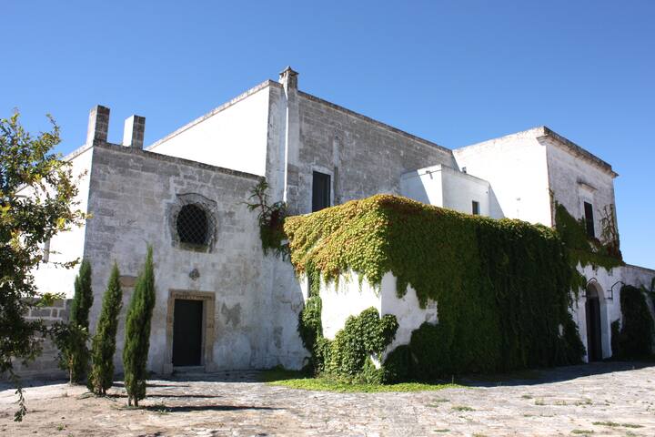 Charming Apt.(N1) in trendy Salento