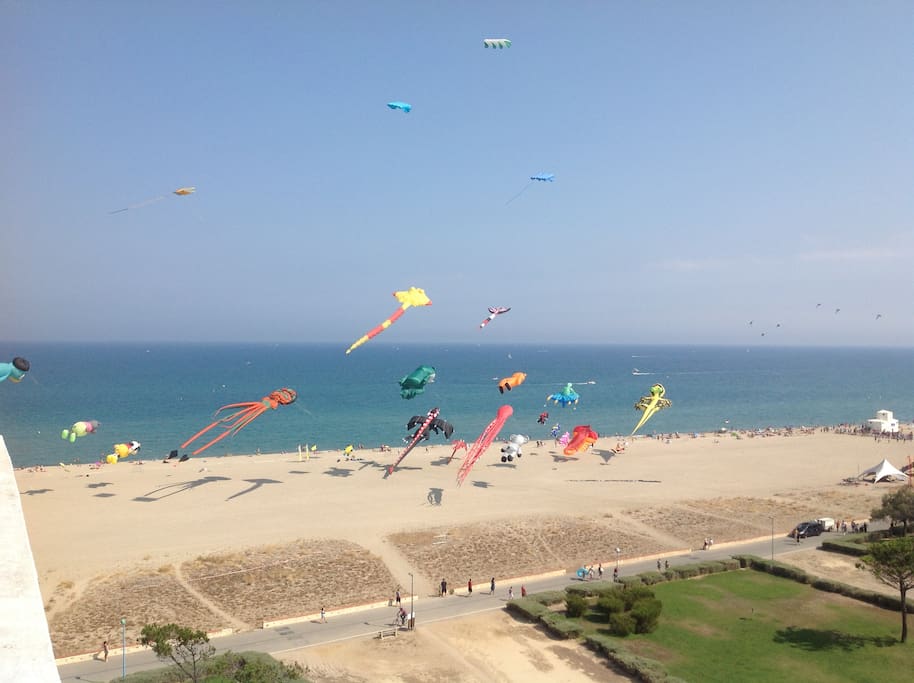 Kites at the beach