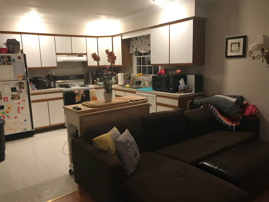 Living Room/Kitchen