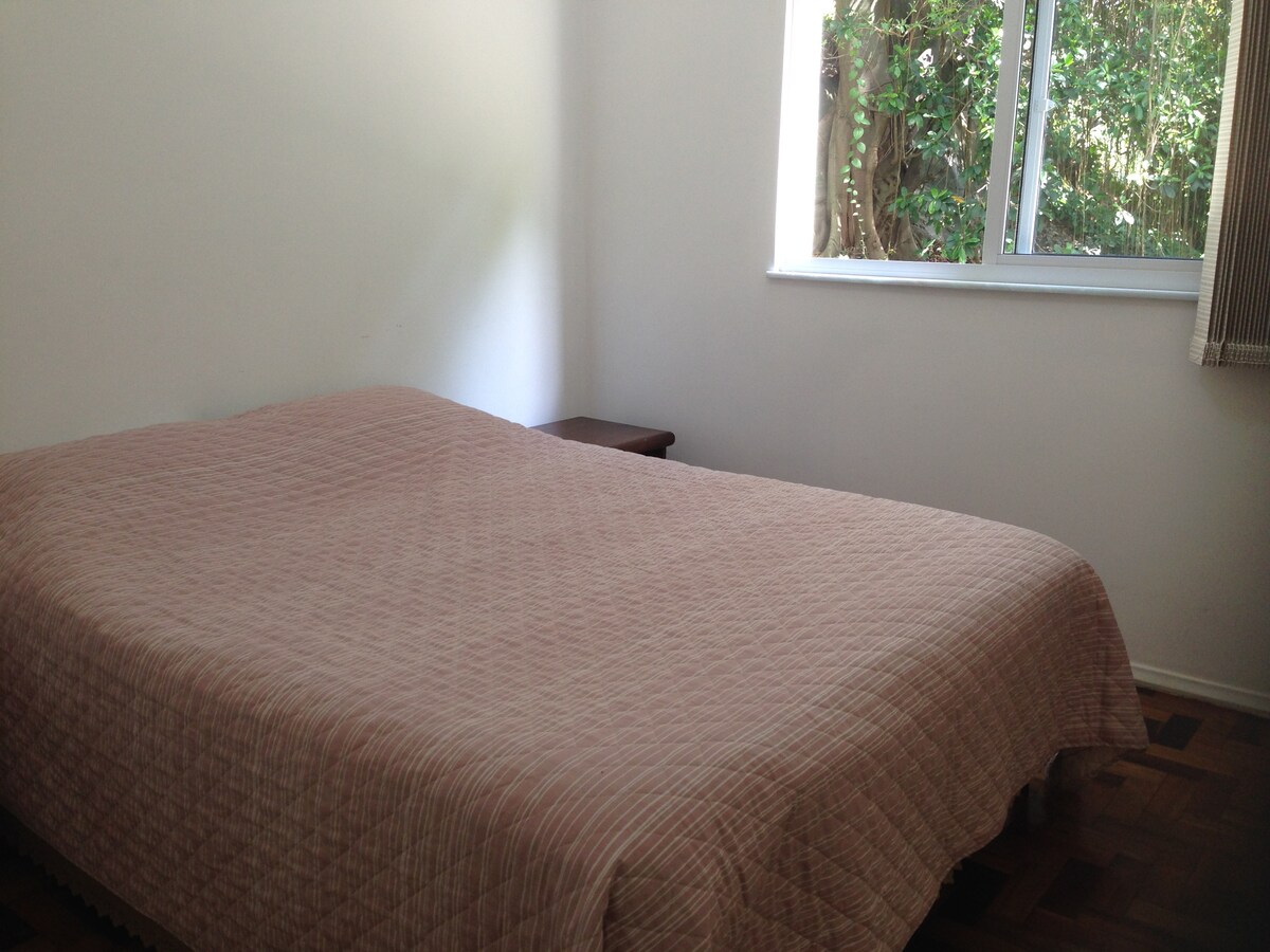 جناح - بحجم كبير