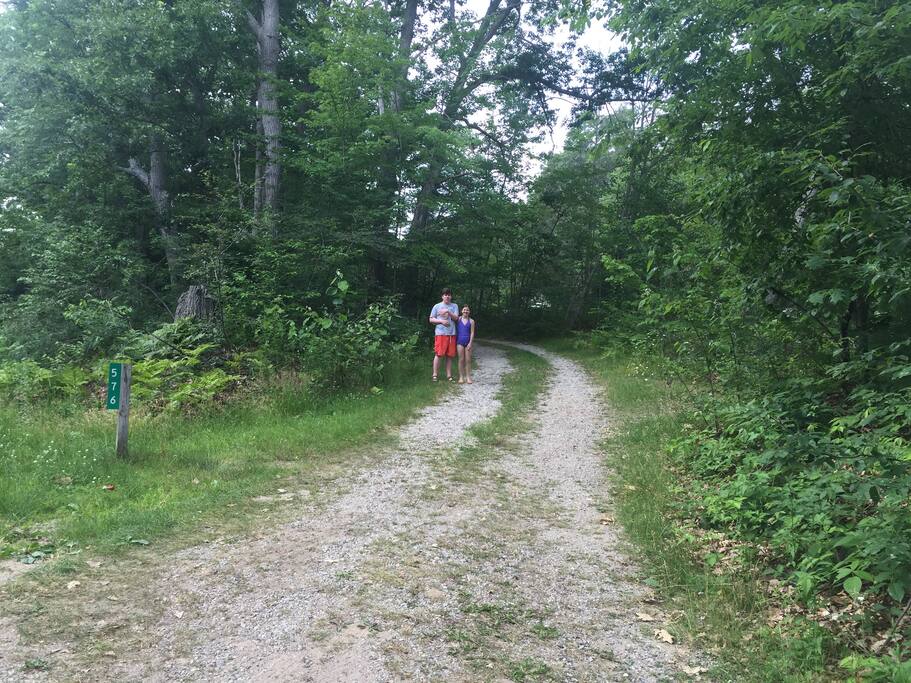 Bottom of the driveway. Entrance to house.