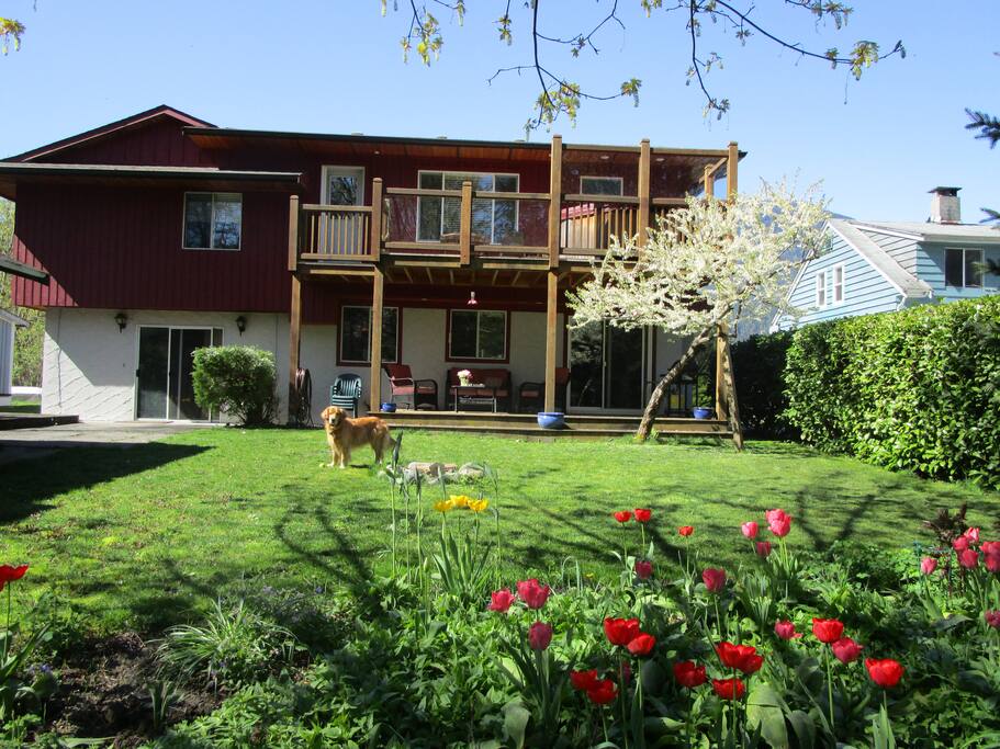 Back of house.