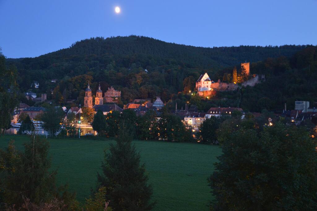 Herrliche Kulisse bei Nacht