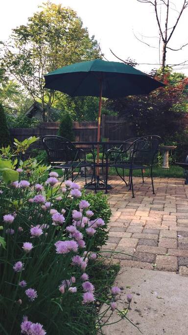 The backyard is a great retreat!