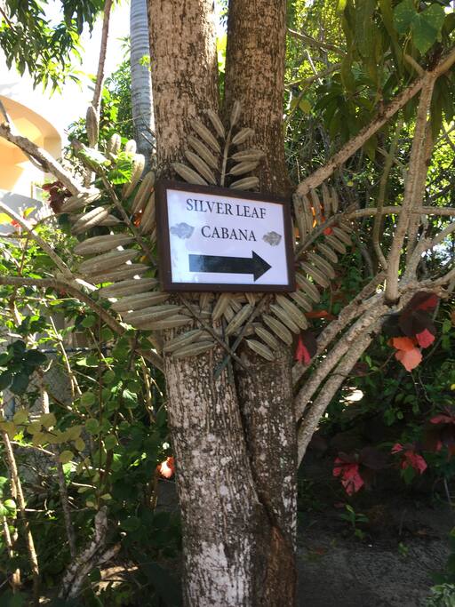 Silver Leaf Cabana is next to Silver Leaf Villa at 47 North Harbour Place in Placencia.