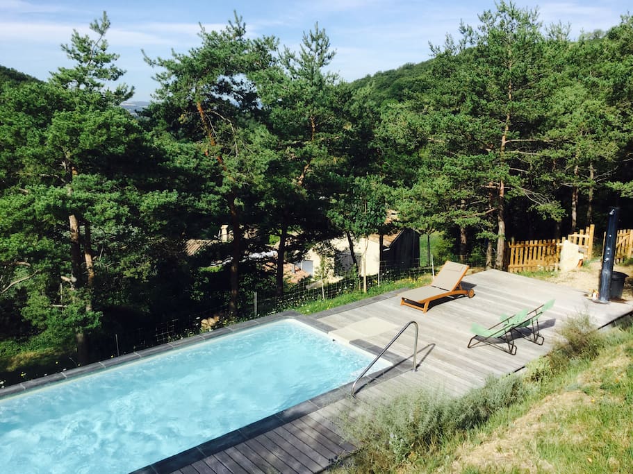 Une vaste piscine dans les bois à l'abri des regards