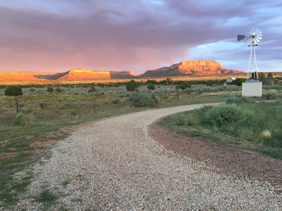 The driveway in to the farm