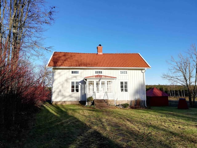 Download Warum kann nicht see dekor so schoen sein wie strand dekor For iPhone