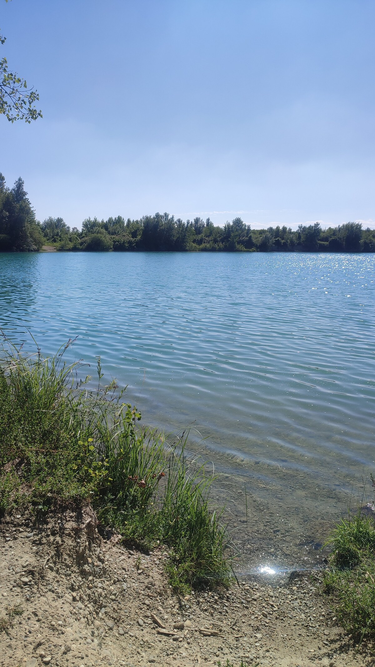 A serene lake is depicted, surrounded by lush greenery and trees. The water reflects the bright blue sky, with gentle ripples creating a tranquil scene. Grasses and wildflowers line the shore, indicating a peaceful natural setting ideal for leisure activities.