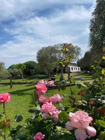 Casa Bali Costa Brava gallery image 5