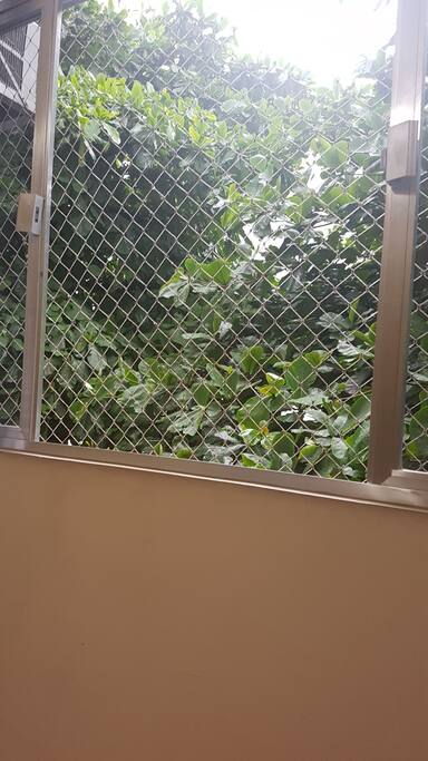 Vista da janela do quarto
