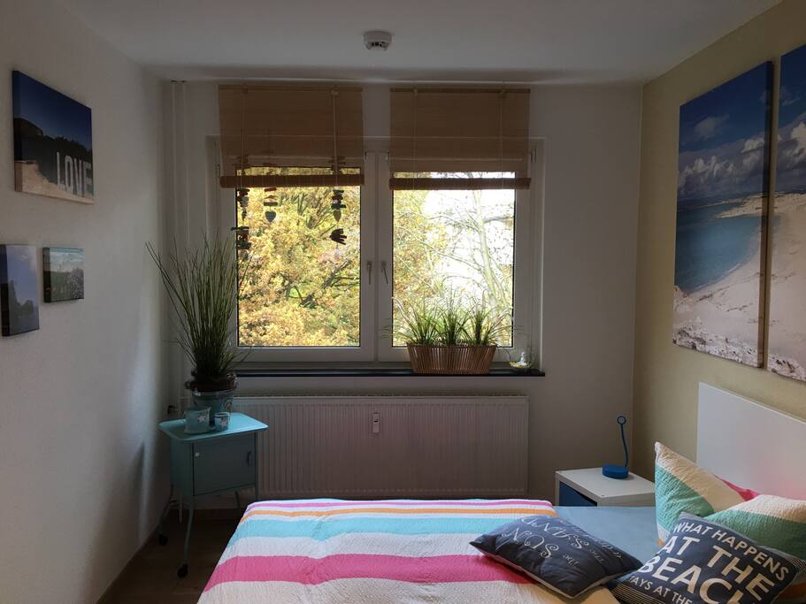 Verdunkelungsrollo am Fenster/ blackout roller blind on the window