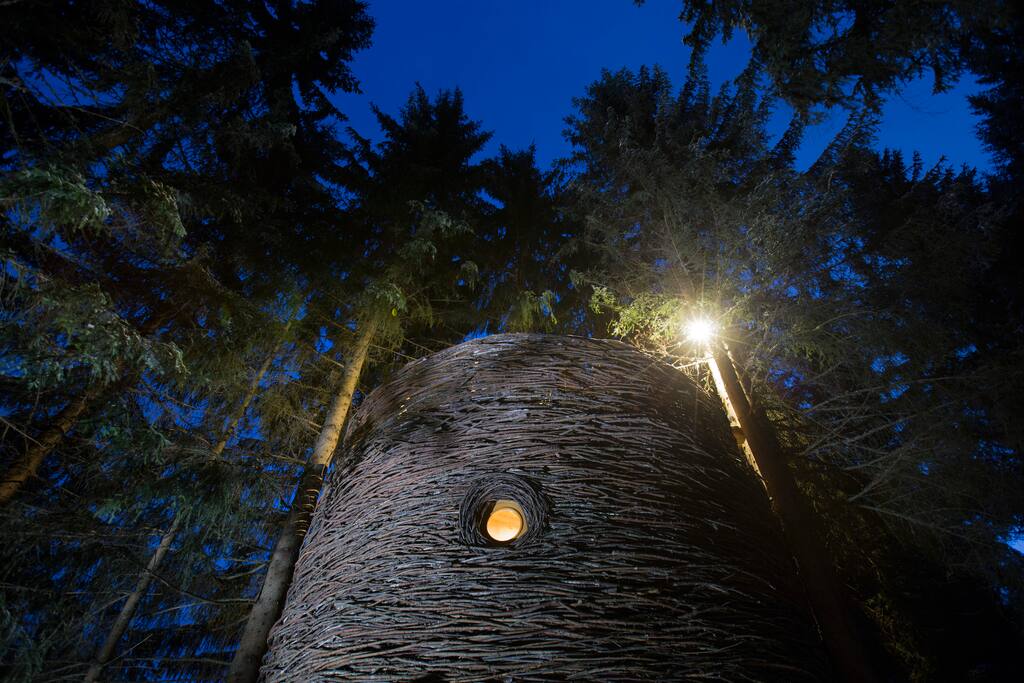 Cabane Nid un soir de pleine lune.
