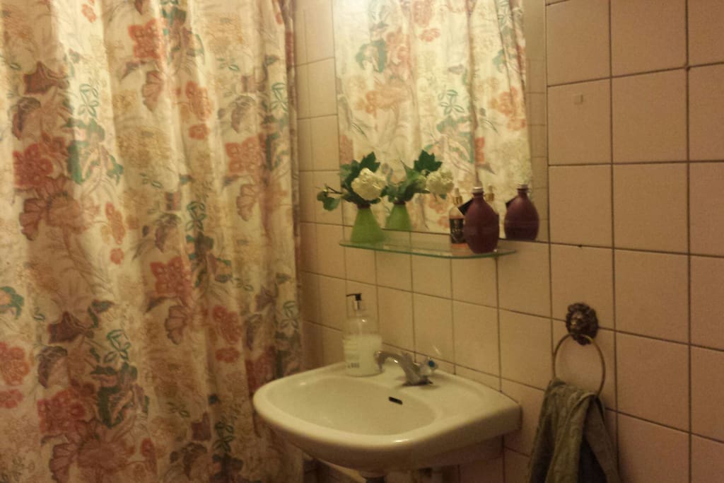the shared bathroom. shower behind the curtains