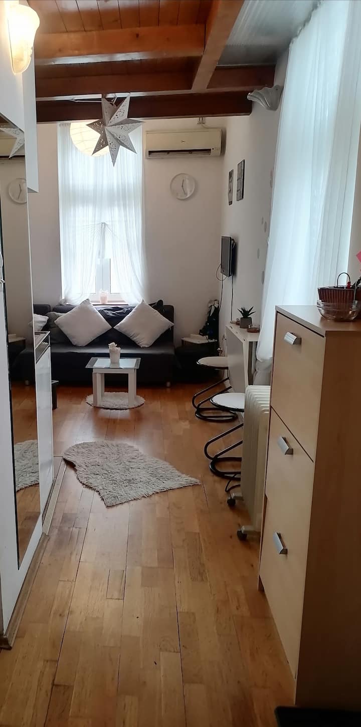 Low Cost Duplex Knez Mihajlova - Belgrade